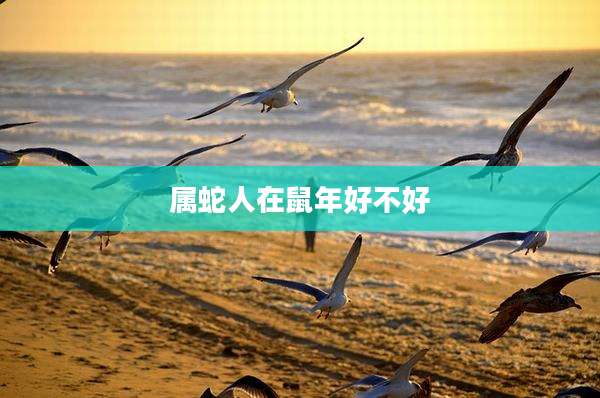属蛇人在鼠年好不好