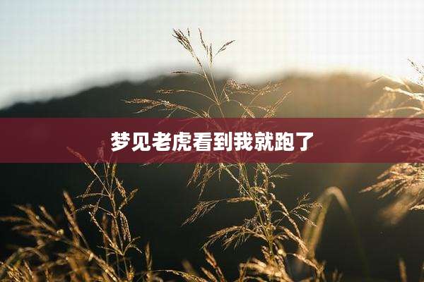梦见老虎看到我就跑了