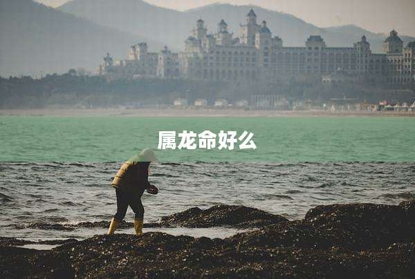 属龙命好么