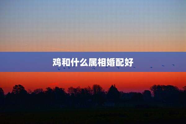 鸡和什么属相婚配好