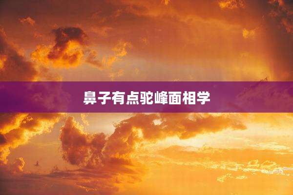 鼻子有点驼峰面相学