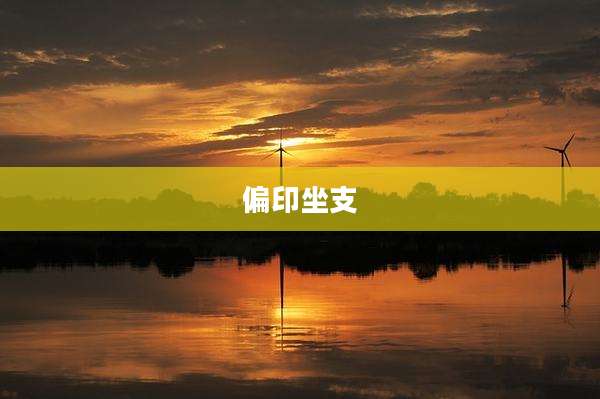偏印坐支