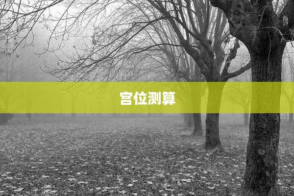 宫位测算
