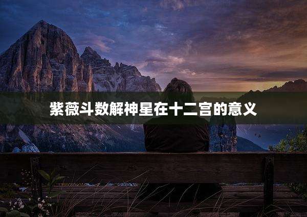 紫薇斗数解神星在十二宫的意义