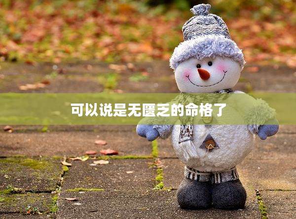 可以说是无匮乏的命格了