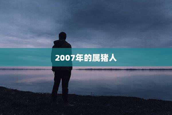 2007年的属猪人