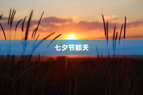 七夕节那天