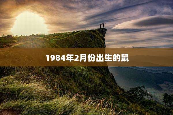 1984年2月份出生的鼠