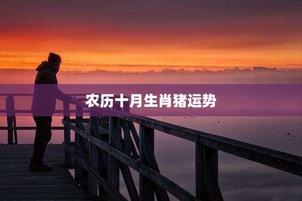 农历十月生肖猪运势