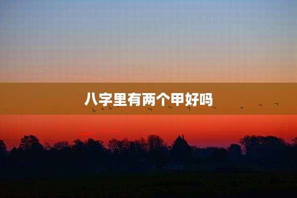 八字里有两个甲好吗