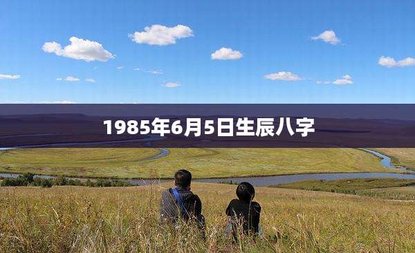 1985年6月5日生辰八字