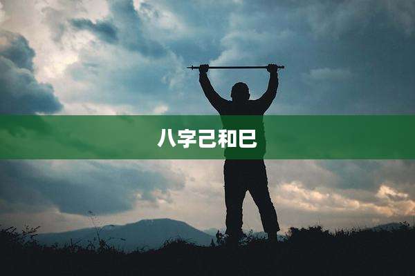 八字己和巳