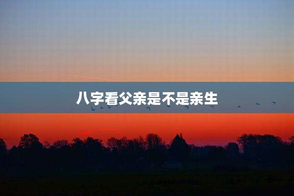 八字看父亲是不是亲生