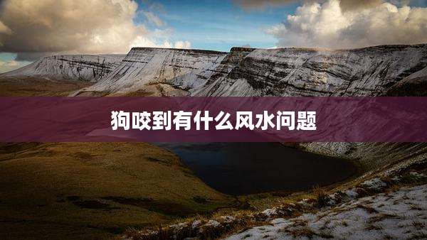 狗咬到有什么风水问题