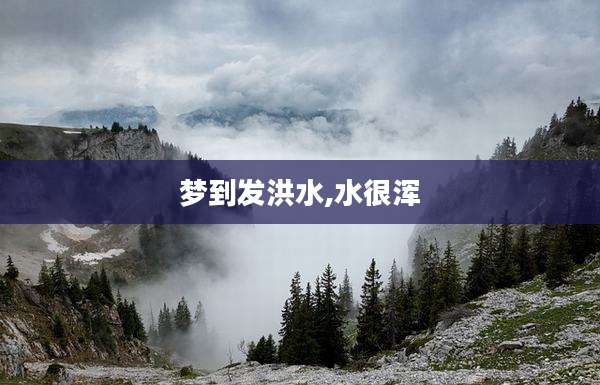 梦到发洪水,水很浑