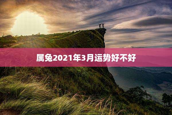 属兔2021年3月运势好不好