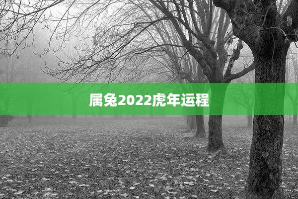 属兔2022虎年运程