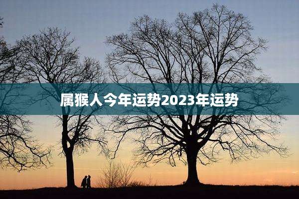 属猴人今年运势2023年运势