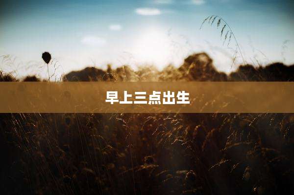 早上三点出生