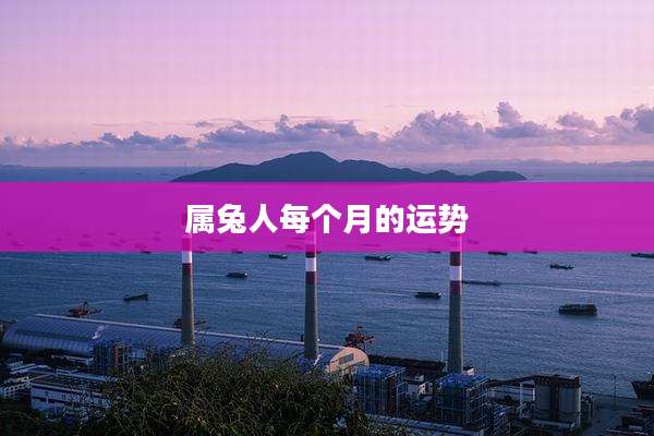 属兔人每个月的运势