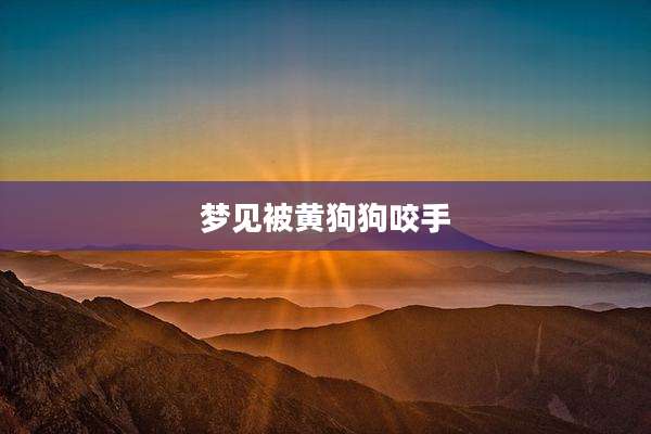 梦见被黄狗狗咬手