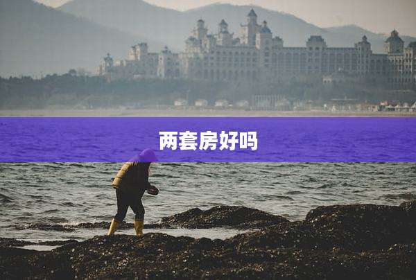 两套房好吗