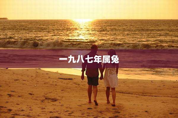 一九八七年属兔