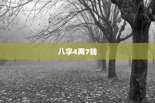 八字4两7钱