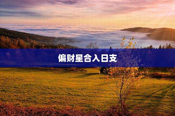 偏财星合入日支