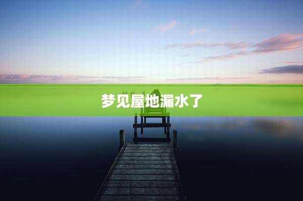 梦见屋地漏水了