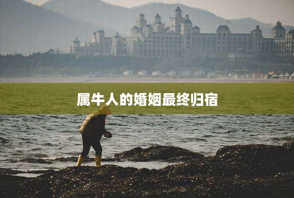 属牛人的婚姻最终归宿