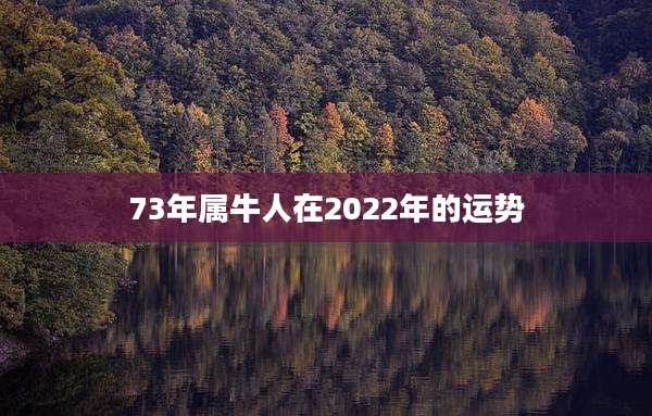 73年属牛人在2022年的运势