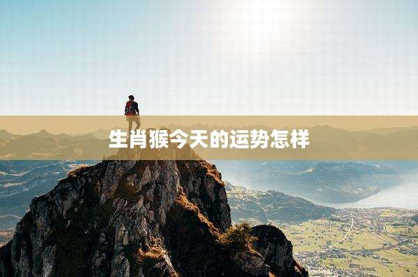 生肖猴今天的运势怎样