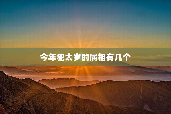 今年犯太岁的属相有几个