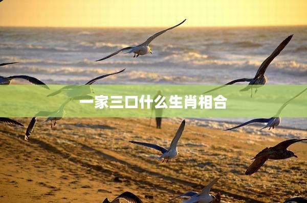 一家三口什么生肖相合