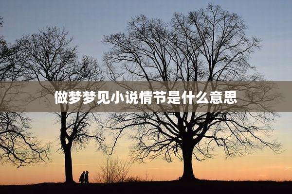 做梦梦见小说情节是什么意思