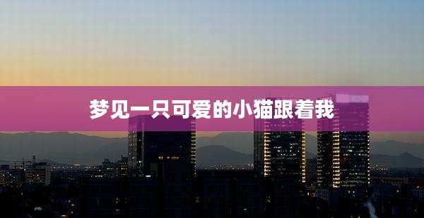 梦见一只可爱的小猫跟着我