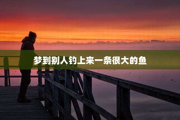梦到别人钓上来一条很大的鱼