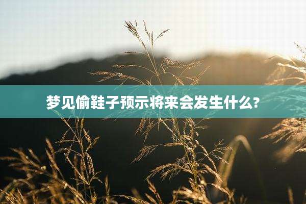 梦见偷鞋子预示将来会发生什么?