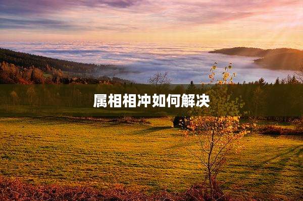 属相相冲如何解决