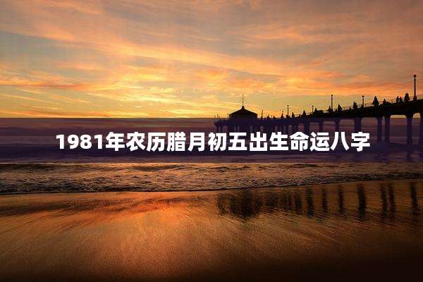 1981年农历腊月初五出生命运八字