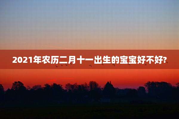 2021年农历二月十一出生的宝宝好不好?