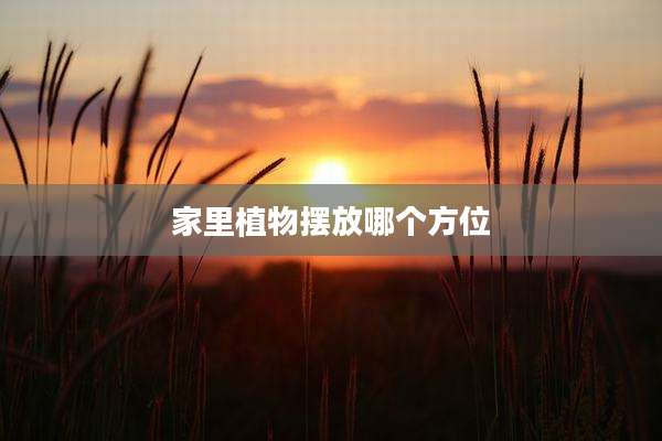 家里植物摆放哪个方位