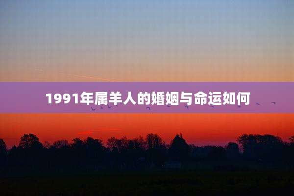 1991年属羊人的婚姻与命运如何