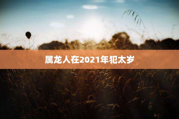 属龙人在2021年犯太岁