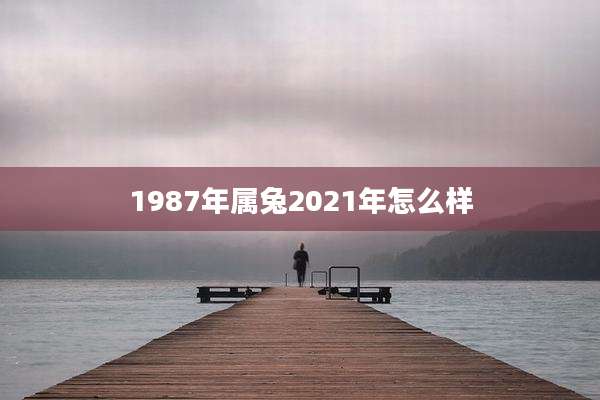 1987年属兔2021年怎么样