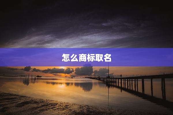 怎么商标取名