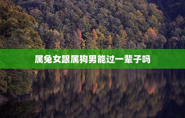 属兔女跟属狗男能过一辈子吗