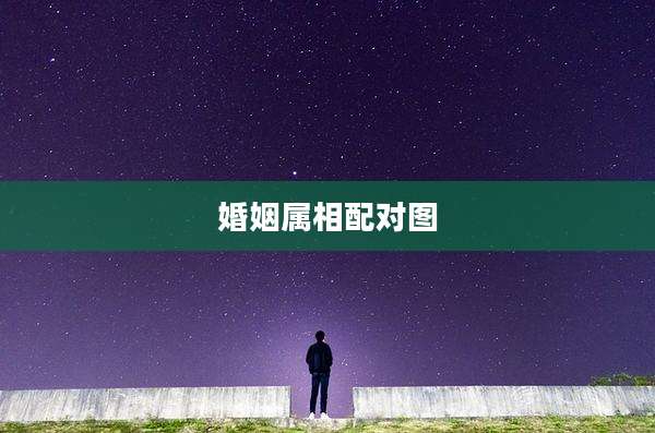 婚姻属相配对图