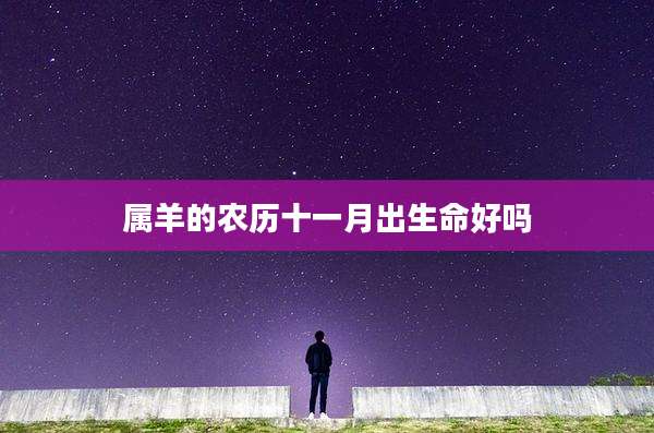 属羊的农历十一月出生命好吗